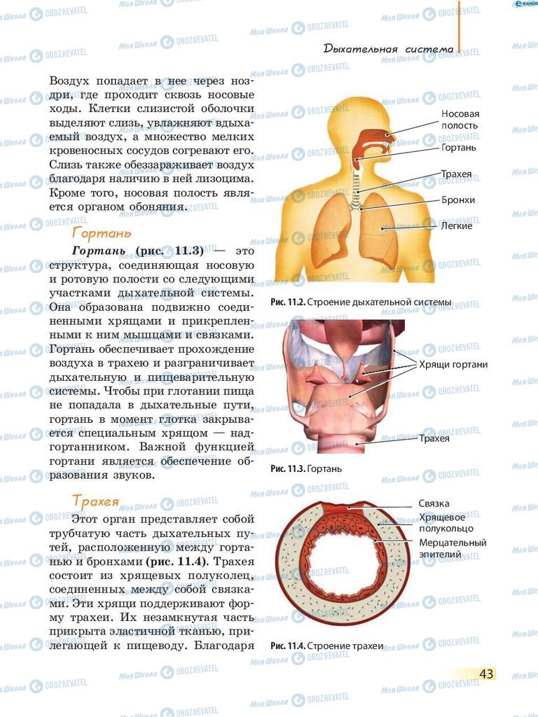 Учебники Биология 8 класс страница 43