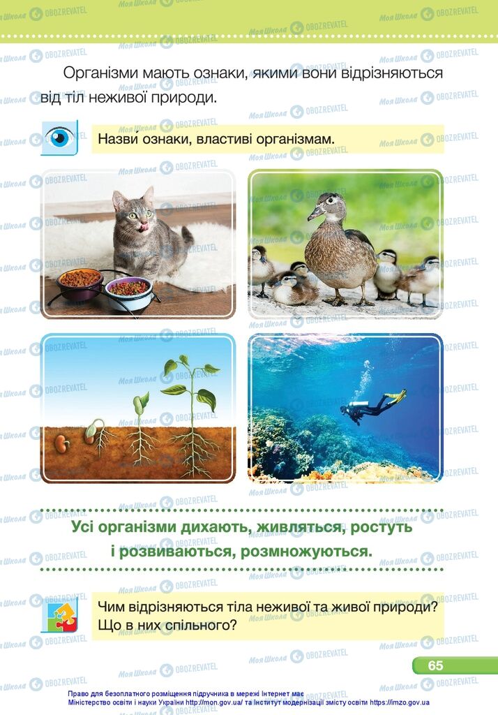 Підручники Я досліджую світ 1 клас сторінка 65