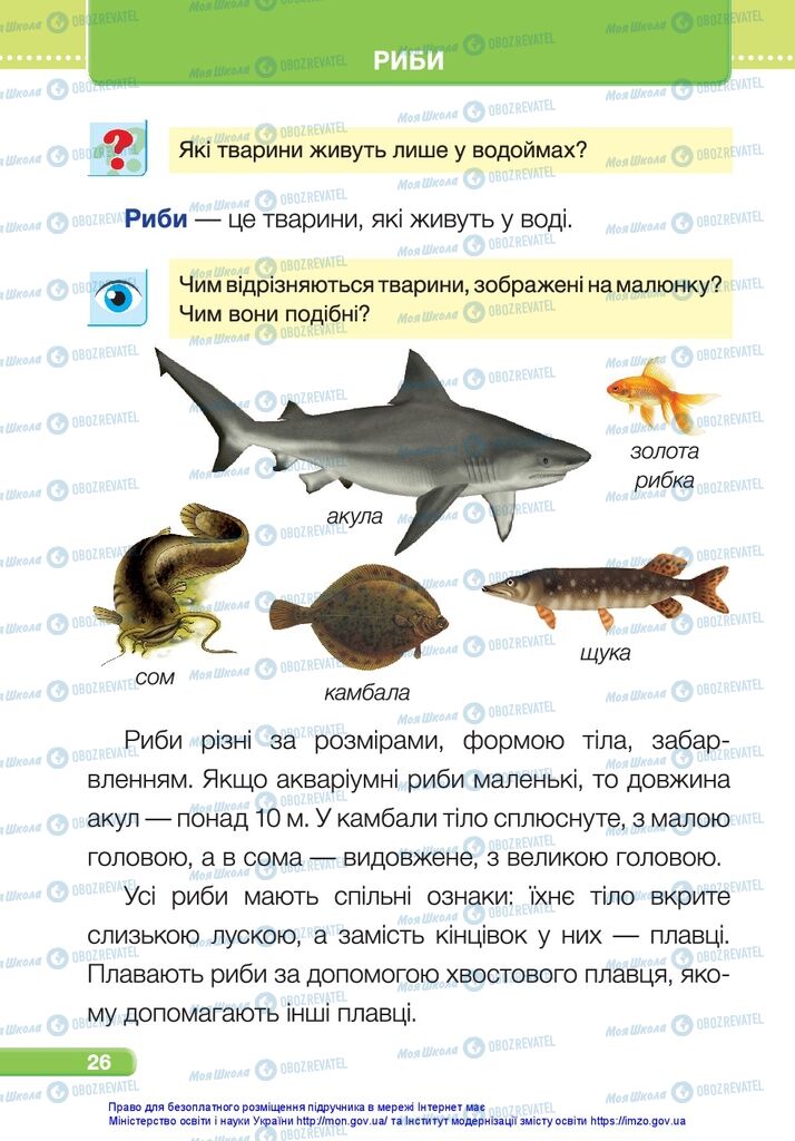 Підручники Я досліджую світ 1 клас сторінка 26