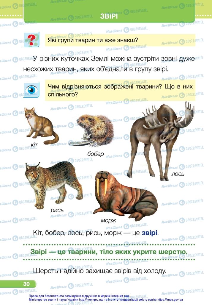 Підручники Я досліджую світ 1 клас сторінка 30