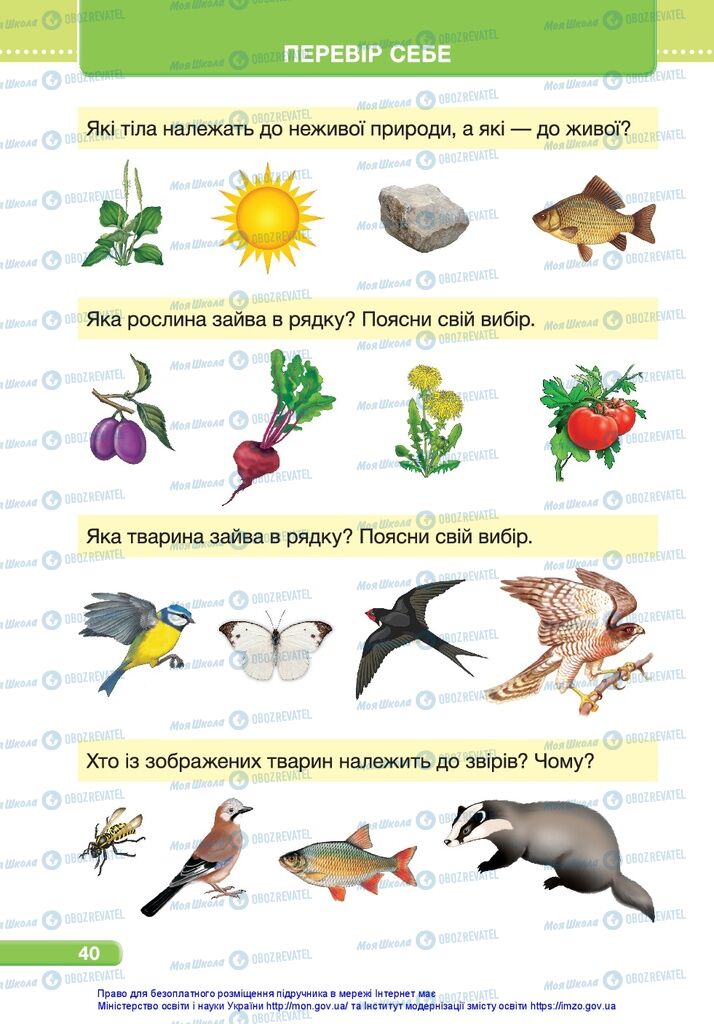 Підручники Я досліджую світ 1 клас сторінка 40