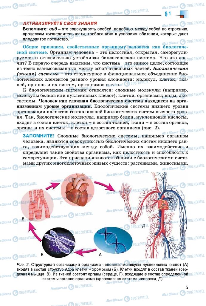 Учебники Биология 8 класс страница 5