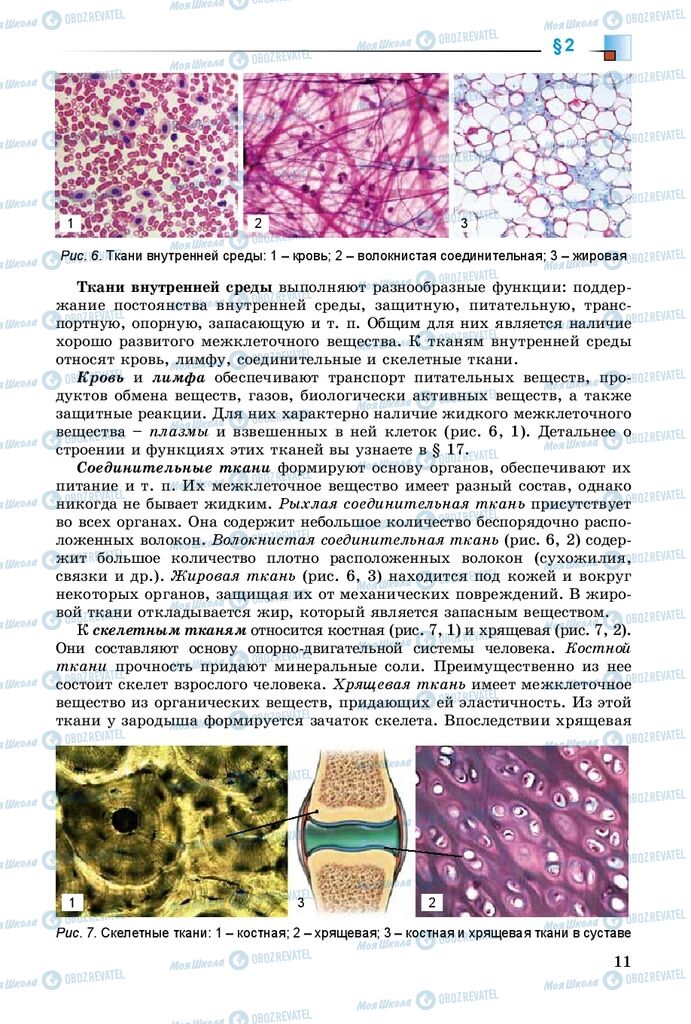 Учебники Биология 8 класс страница 11