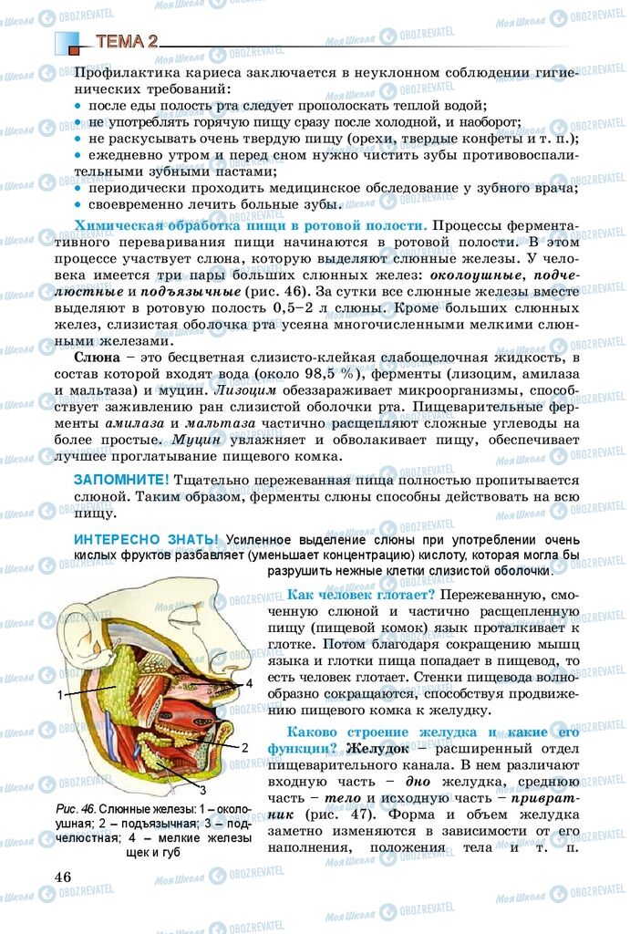 Учебники Биология 8 класс страница 46