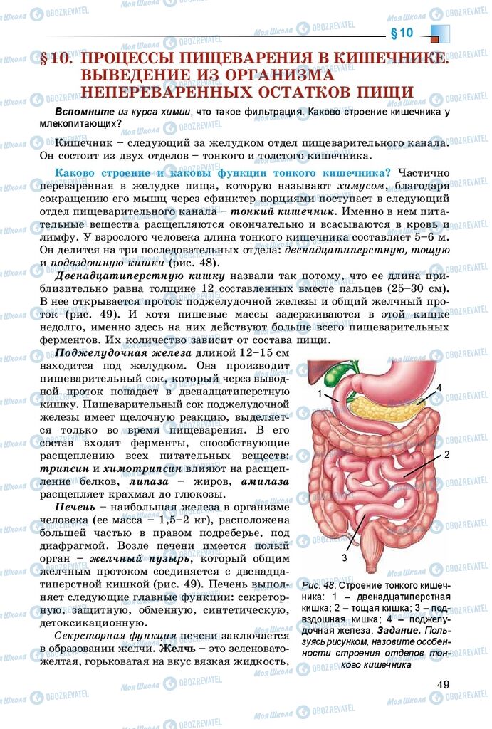 Підручники Біологія 8 клас сторінка 49