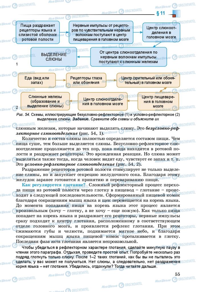 Учебники Биология 8 класс страница 55