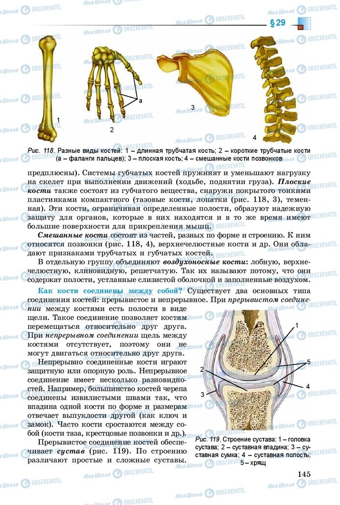 Учебники Биология 8 класс страница 145