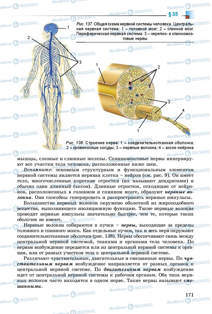 Підручники Біологія 8 клас сторінка 171