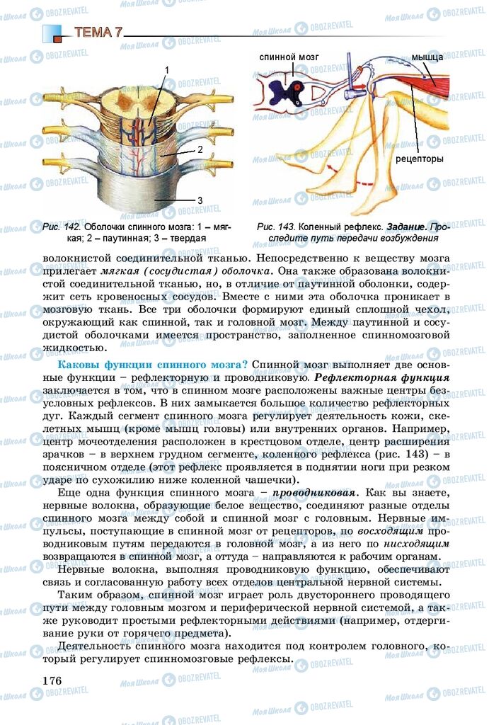 Учебники Биология 8 класс страница 176