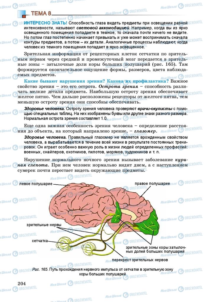 Підручники Біологія 8 клас сторінка 204