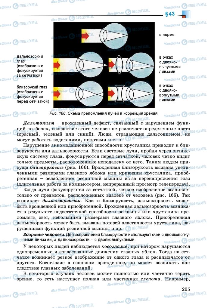 Підручники Біологія 8 клас сторінка 205