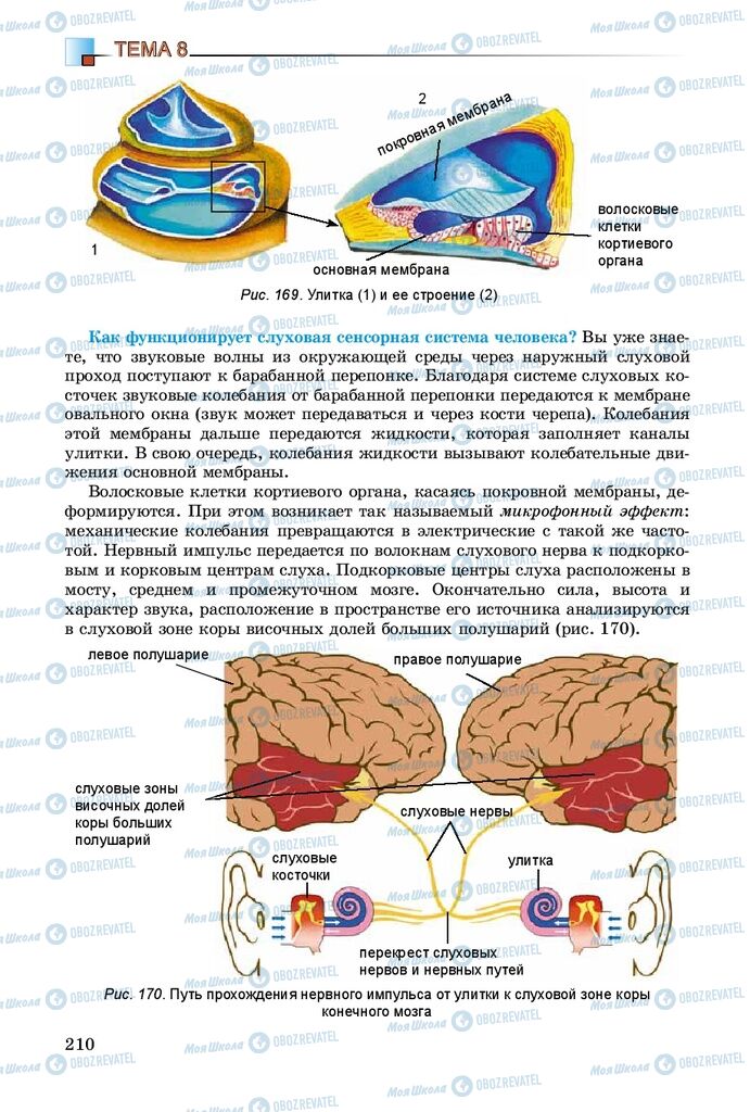 Учебники Биология 8 класс страница 210