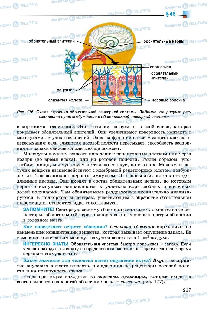 Підручники Біологія 8 клас сторінка 217