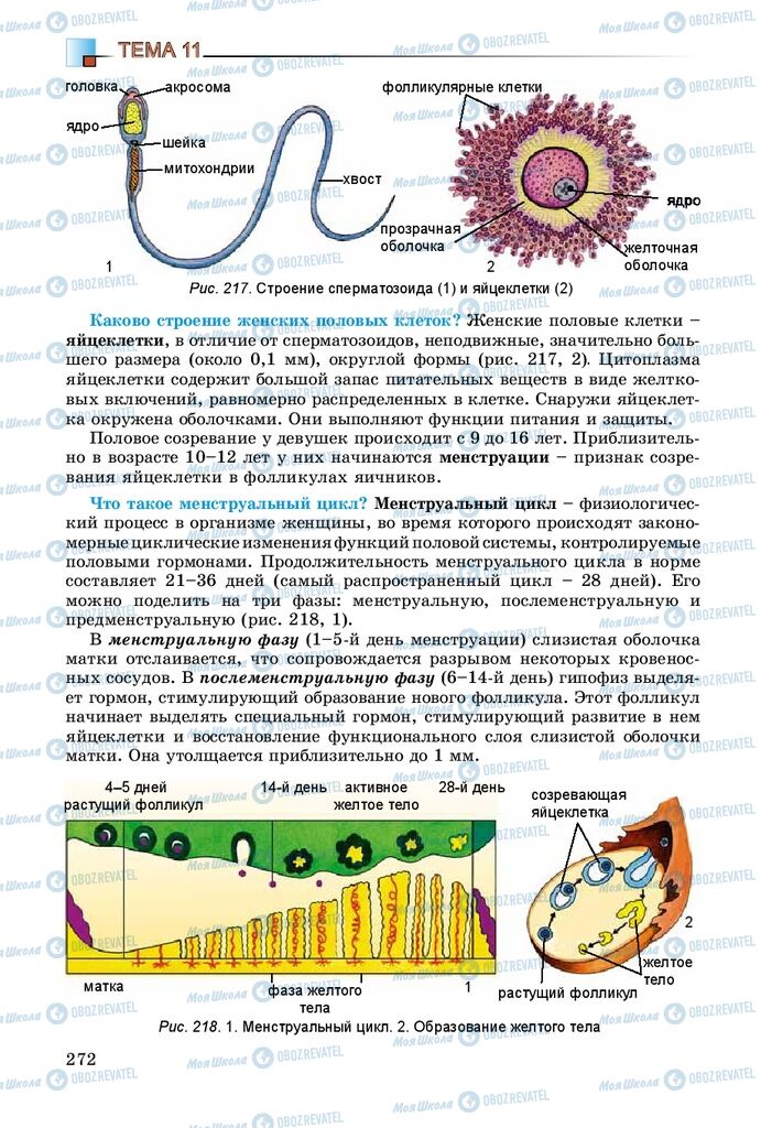 Учебники Биология 8 класс страница 272