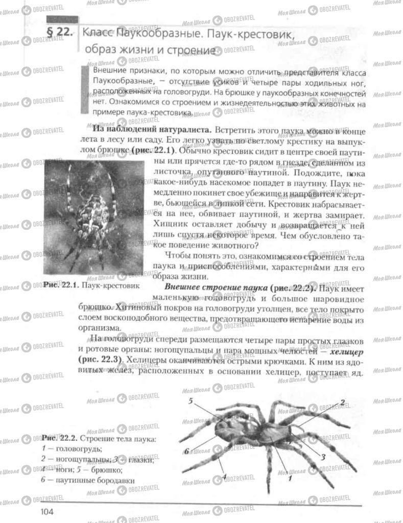 Підручники Біологія 8 клас сторінка 104
