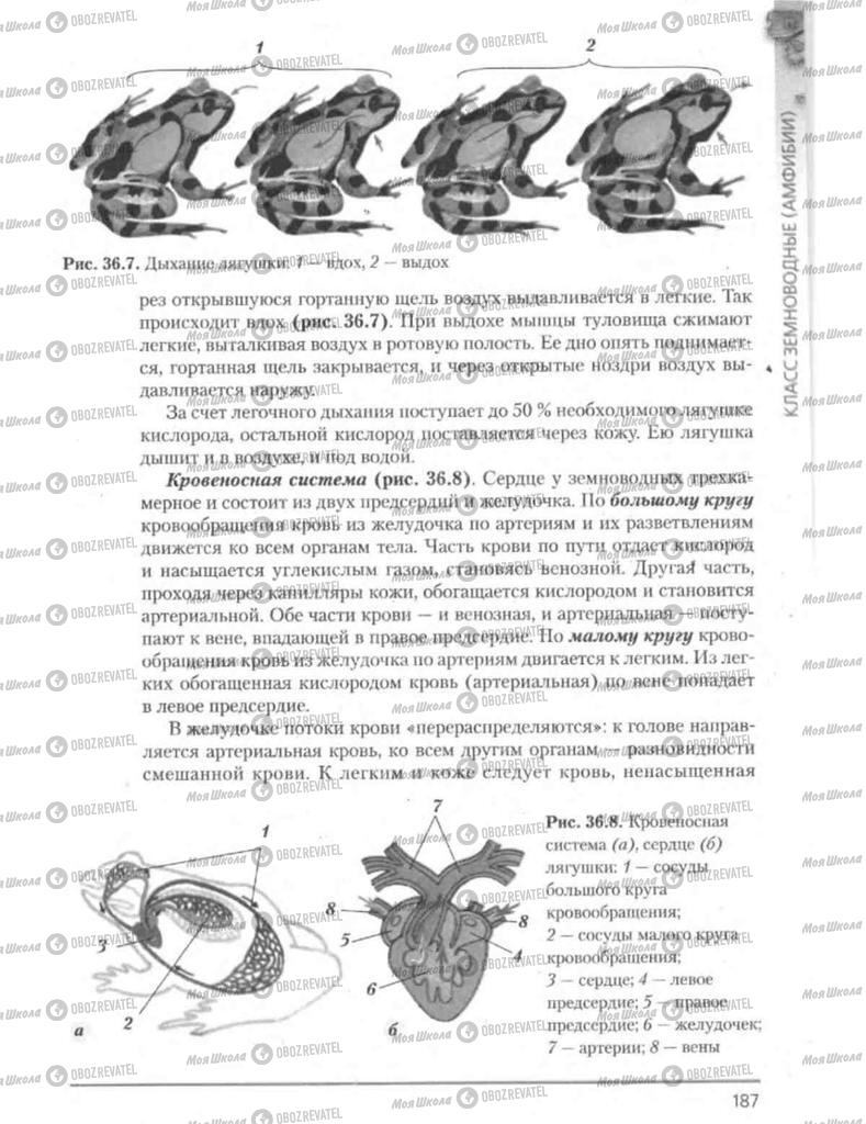 Підручники Біологія 8 клас сторінка 187