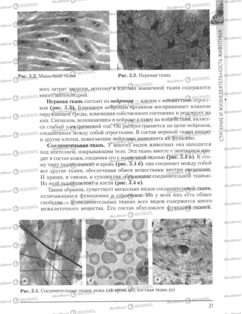 Підручники Біологія 8 клас сторінка 21