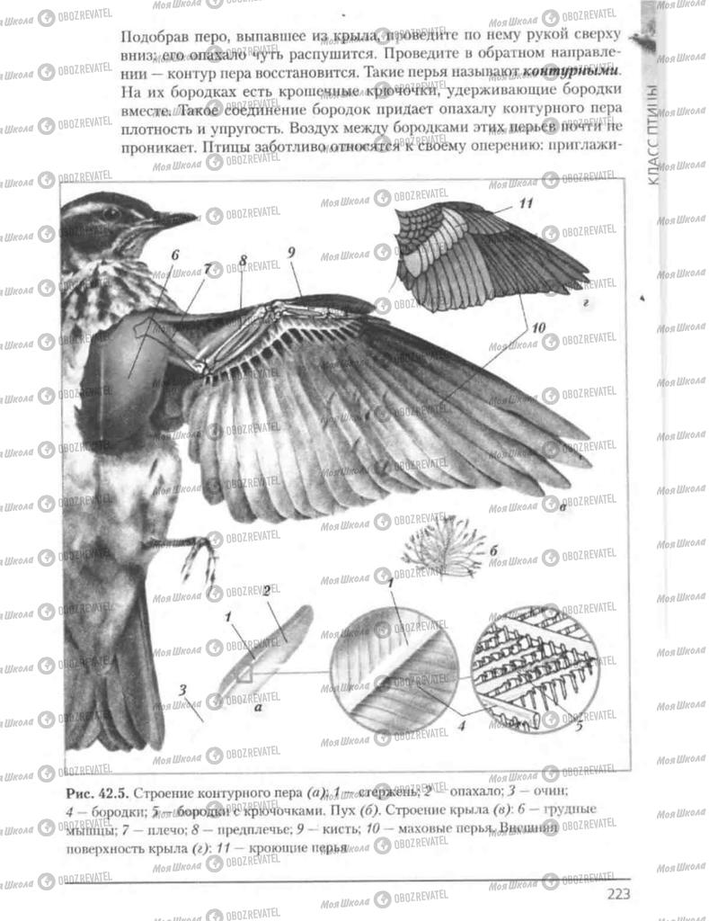 Підручники Біологія 8 клас сторінка 223