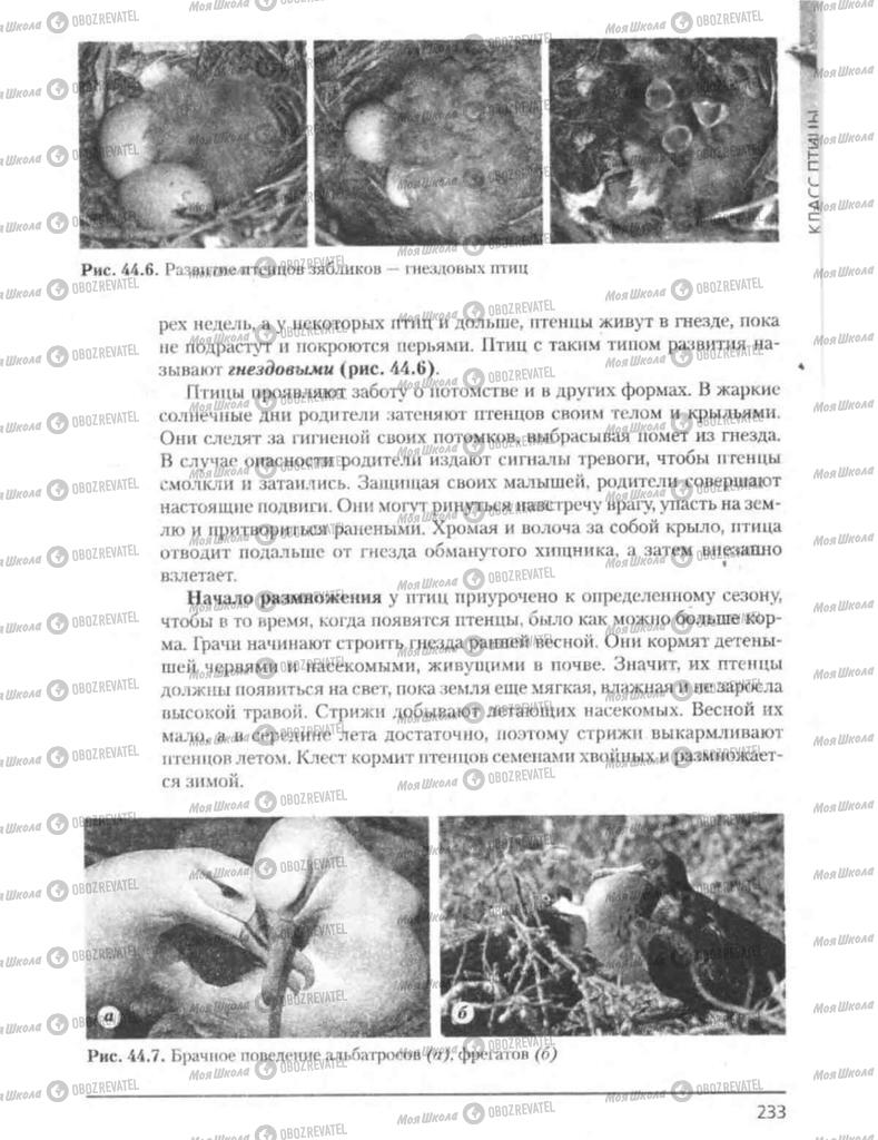 Підручники Біологія 8 клас сторінка 234