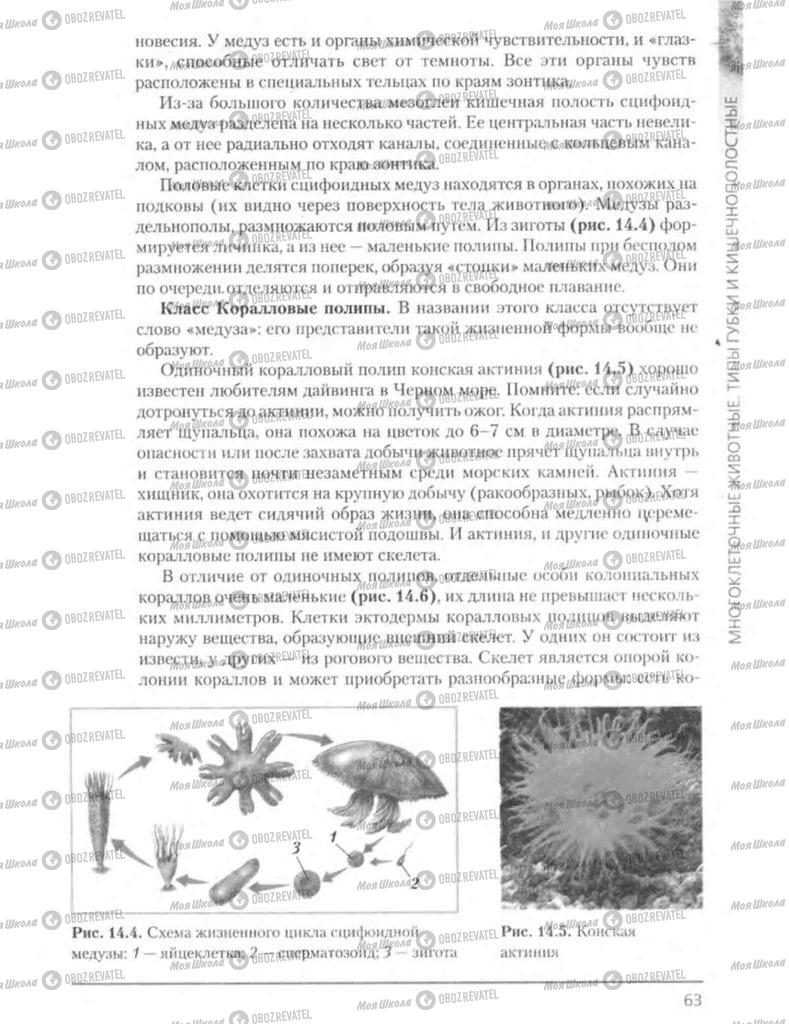 Підручники Біологія 8 клас сторінка 63