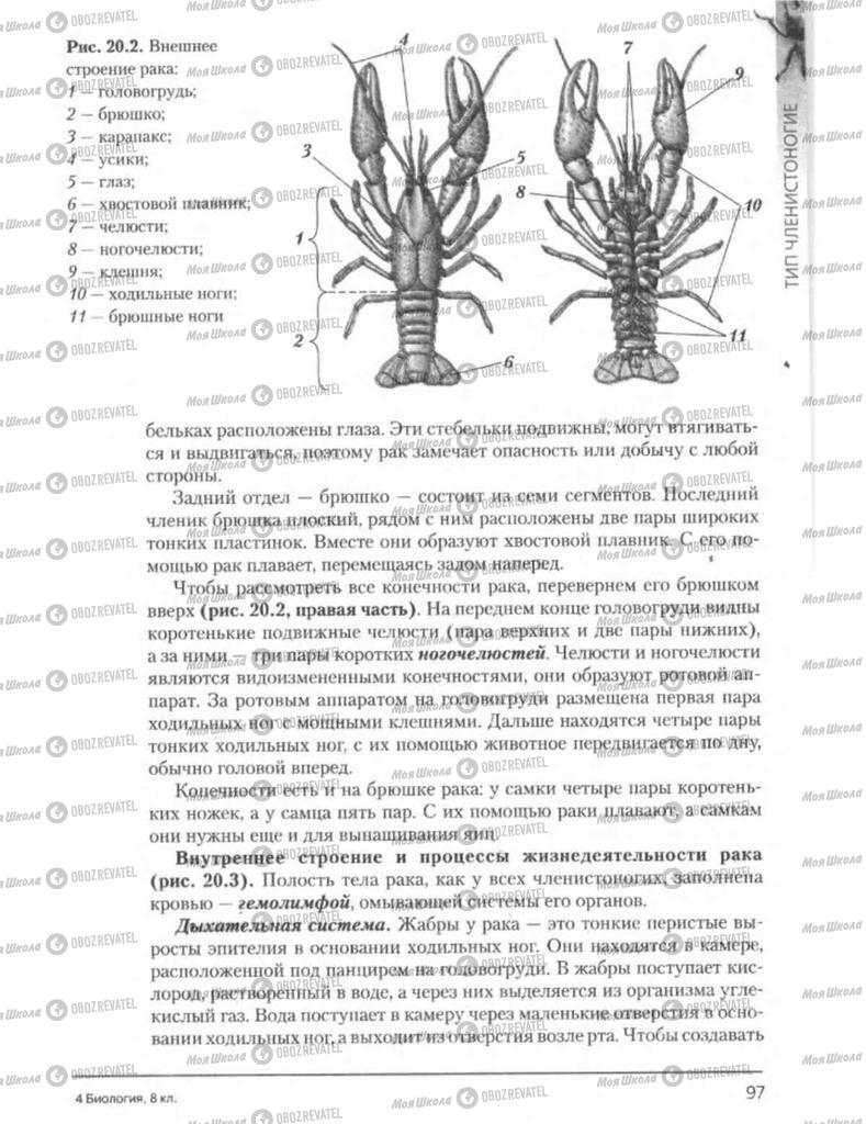 Підручники Біологія 8 клас сторінка 97