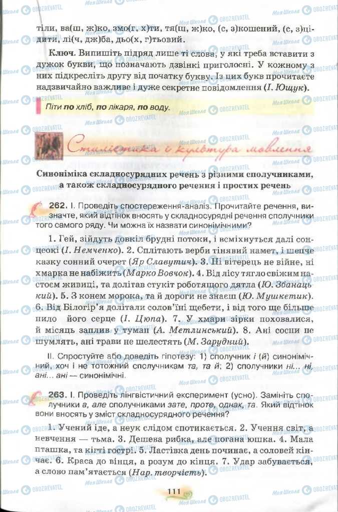 Підручники Українська мова 9 клас сторінка 111