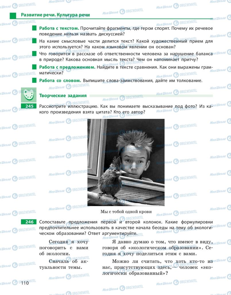 Підручники Російська мова 10 клас сторінка 110