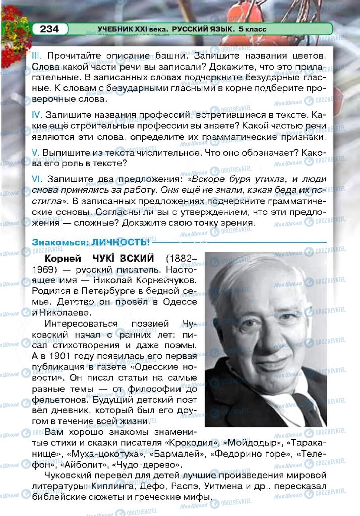 Підручники Російська мова 5 клас сторінка 233