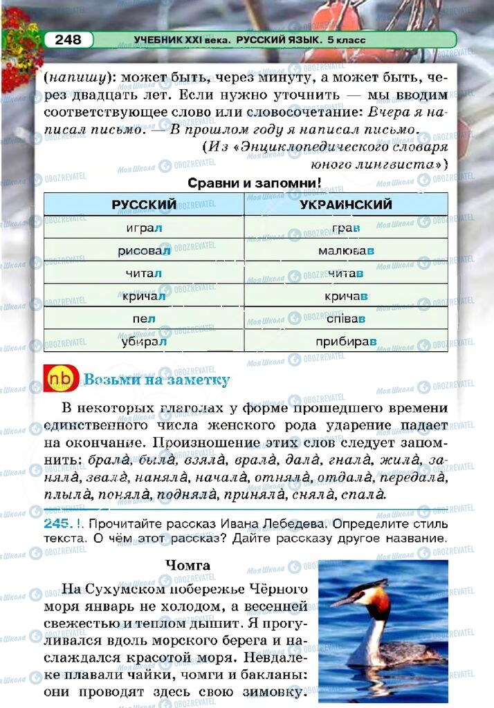 Підручники Російська мова 5 клас сторінка 247