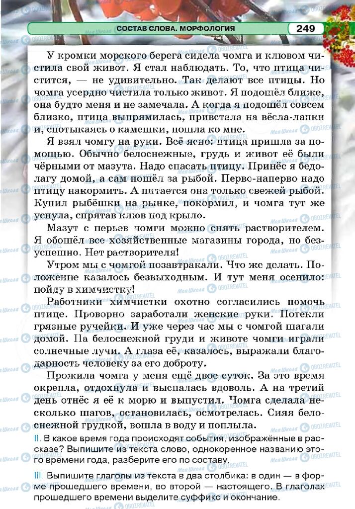 Учебники Русский язык 5 класс страница 248