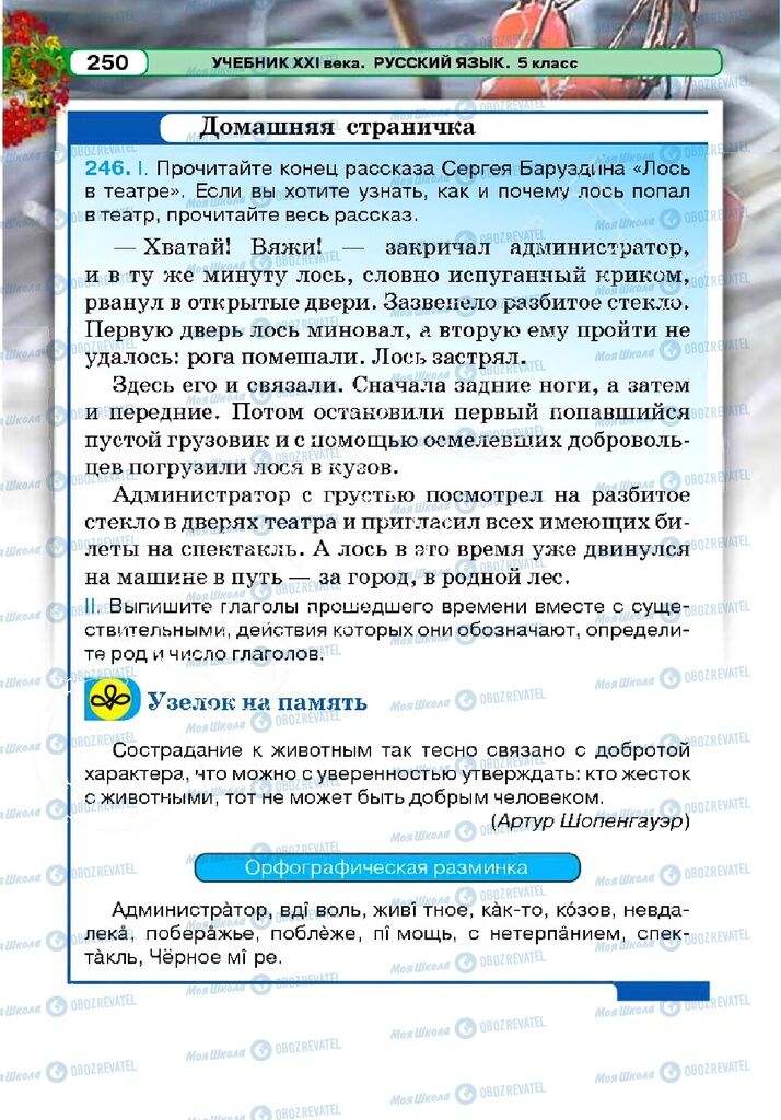 Підручники Російська мова 5 клас сторінка 249