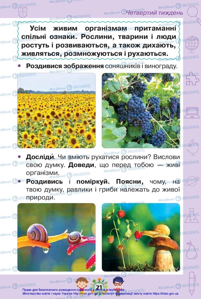 Підручники Я досліджую світ 1 клас сторінка 21