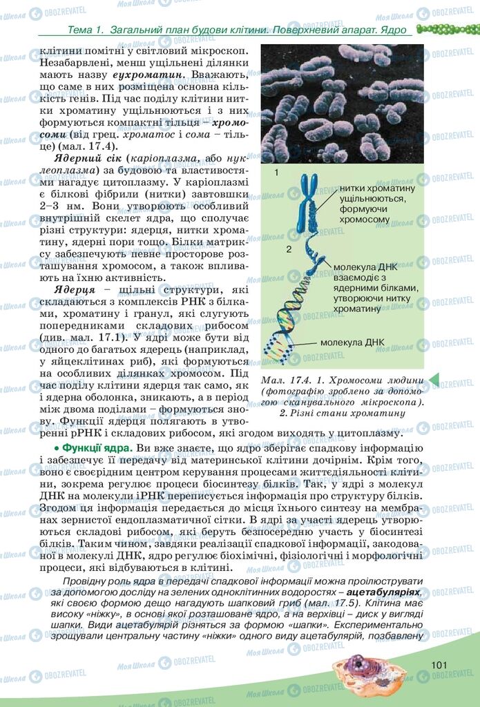 Учебники Биология 10 класс страница 101