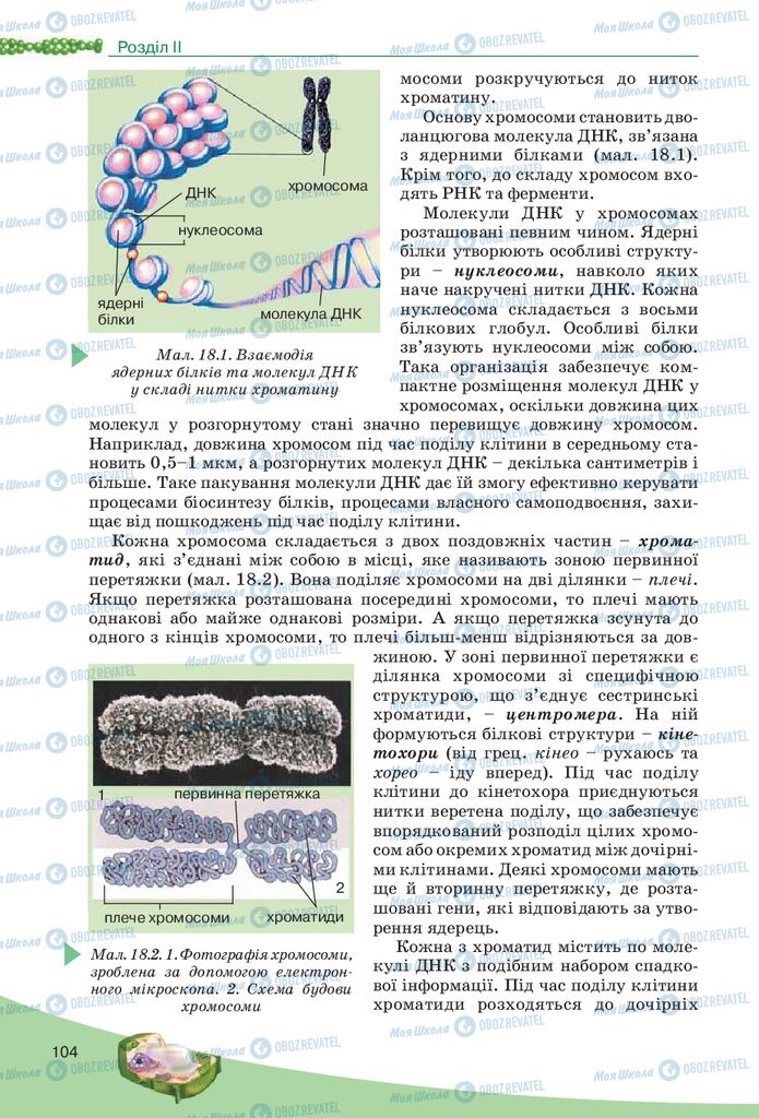 Учебники Биология 10 класс страница 104