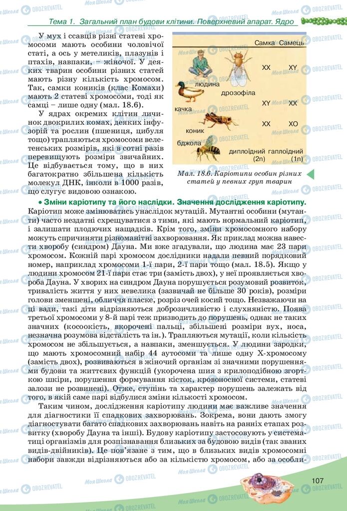 Підручники Біологія 10 клас сторінка 107
