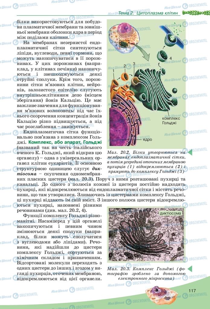 Підручники Біологія 10 клас сторінка 117