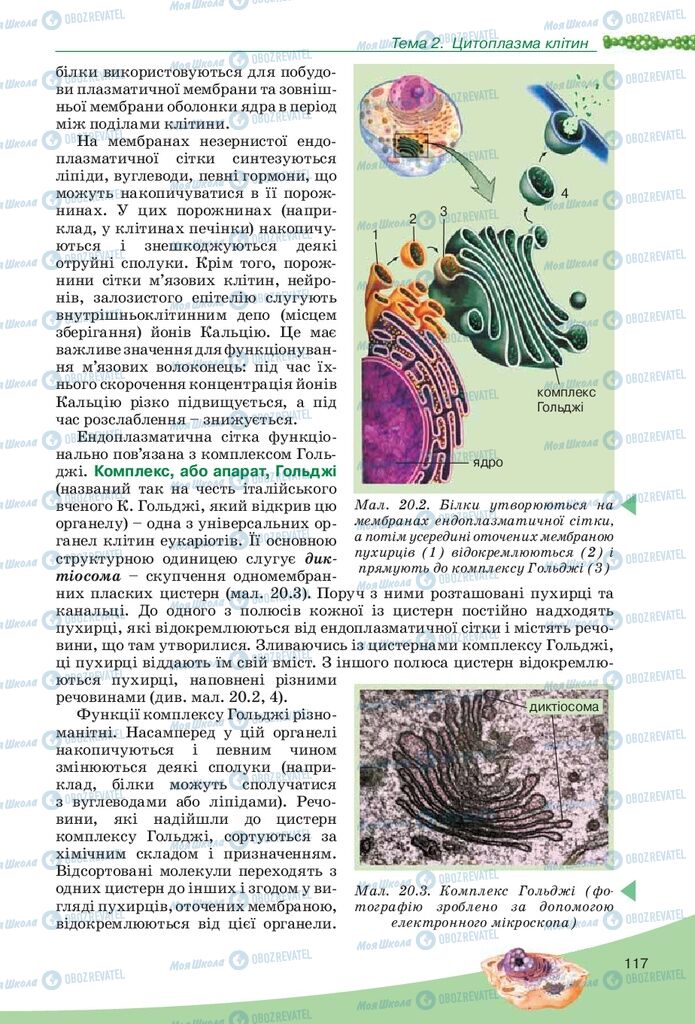 Учебники Биология 10 класс страница 117