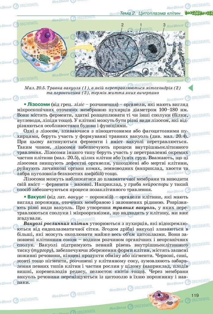 Підручники Біологія 10 клас сторінка 119