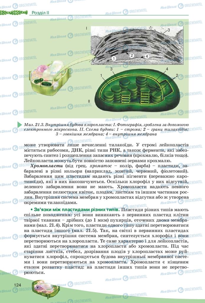 Підручники Біологія 10 клас сторінка 124