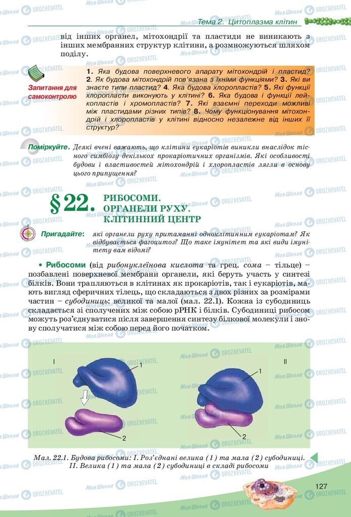 Підручники Біологія 10 клас сторінка  127