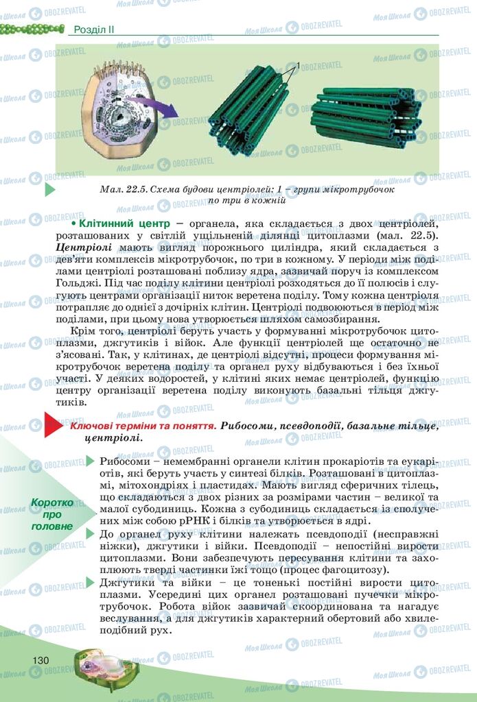 Учебники Биология 10 класс страница 130