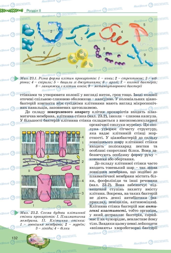 Учебники Биология 10 класс страница 132