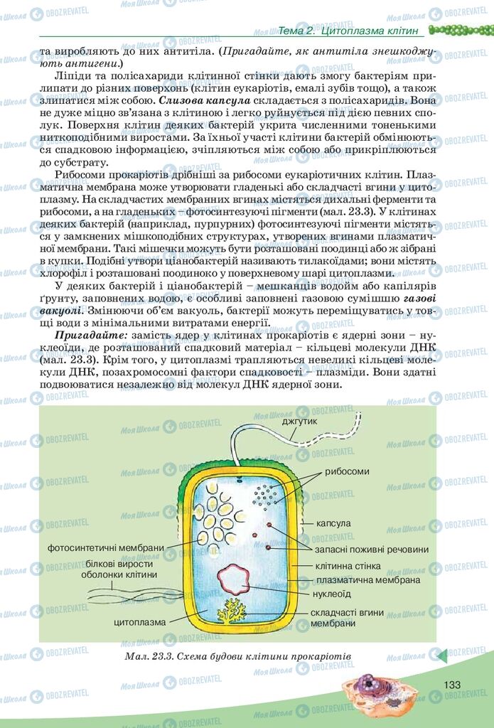 Учебники Биология 10 класс страница 133