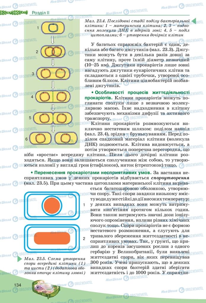 Учебники Биология 10 класс страница 134