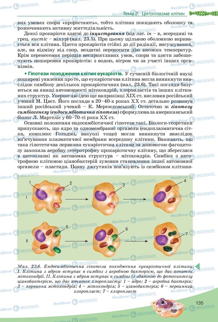 Учебники Биология 10 класс страница 135