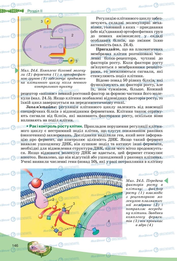 Учебники Биология 10 класс страница 146