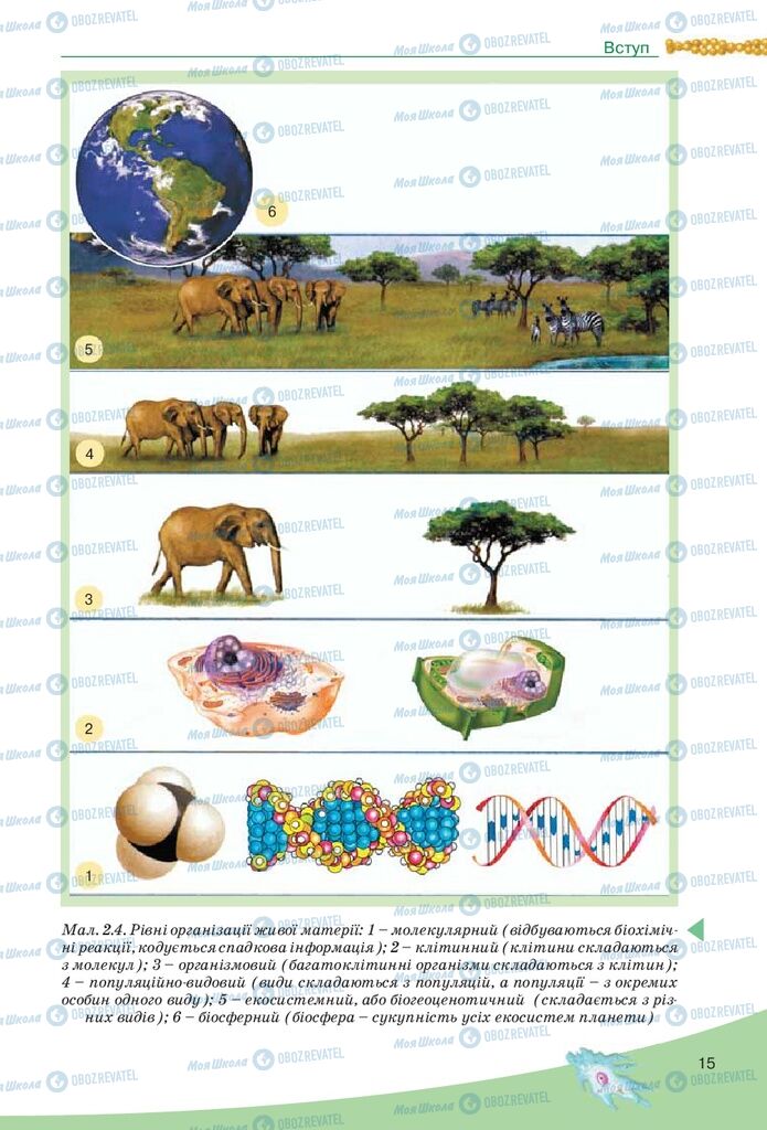 Учебники Биология 10 класс страница 15