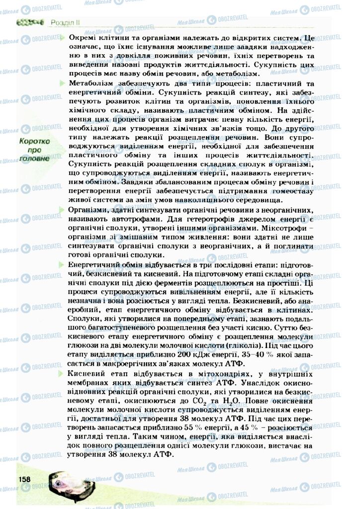 Підручники Біологія 10 клас сторінка 158