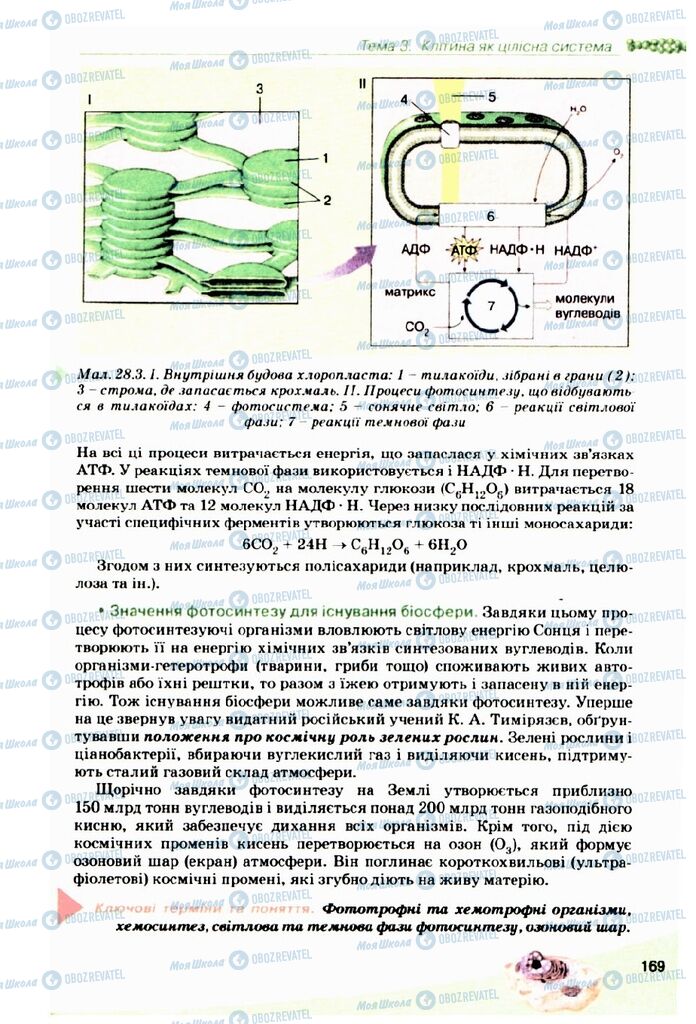 Підручники Біологія 10 клас сторінка 169