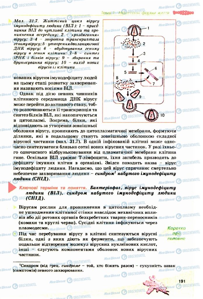 Підручники Біологія 10 клас сторінка 191